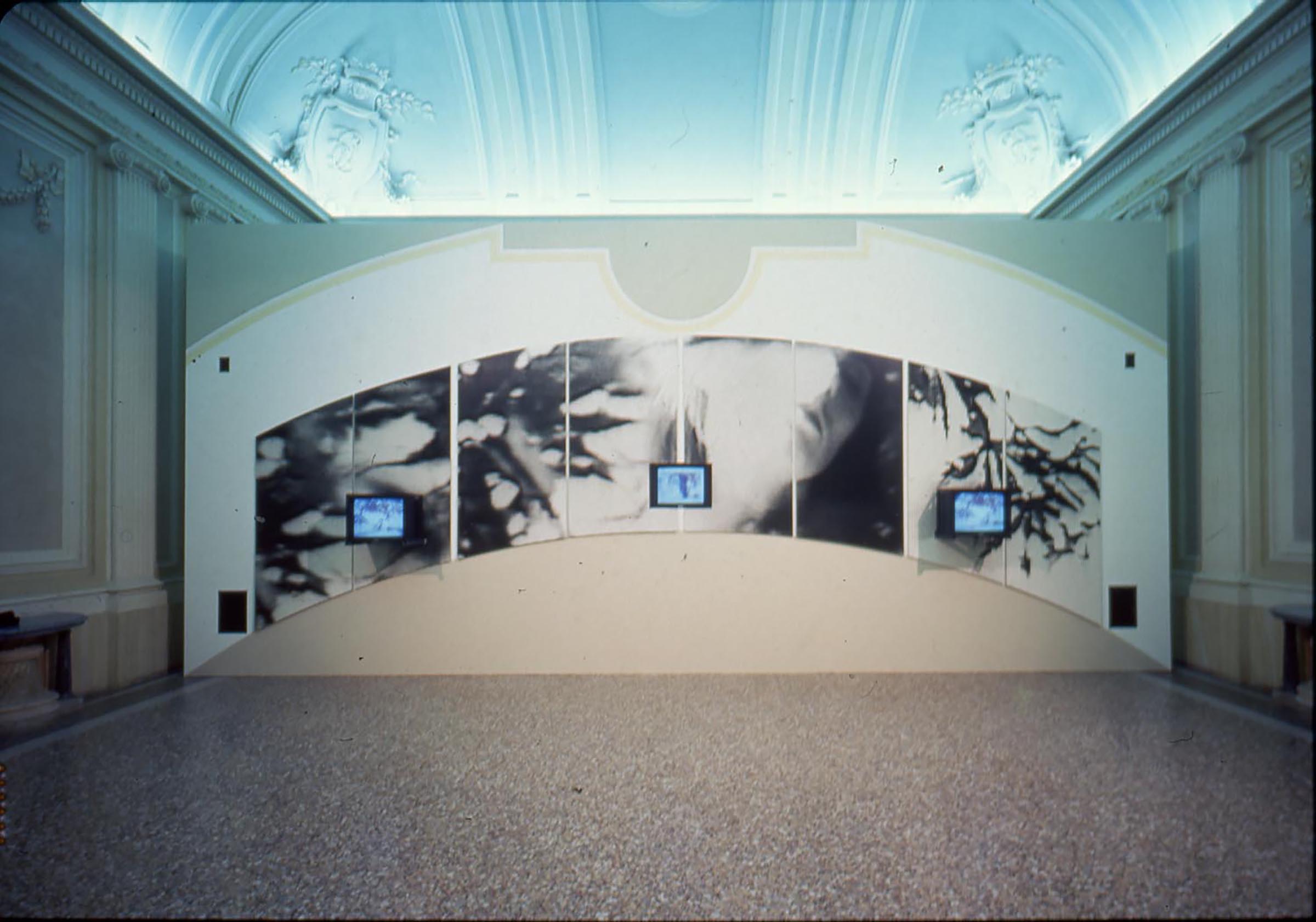 Dara Birnbaum, Will-Ou0027-The_Wisp, 1985-1991